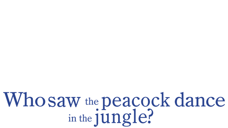 Who Saw the Peacock Dance in the Jungle?
