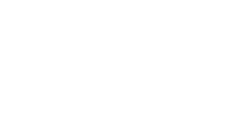 Mémoires de détectives