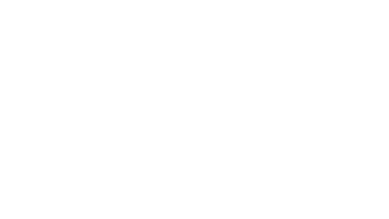 The Bronze Garden