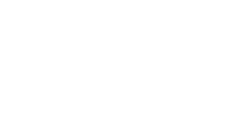 The Girl Before