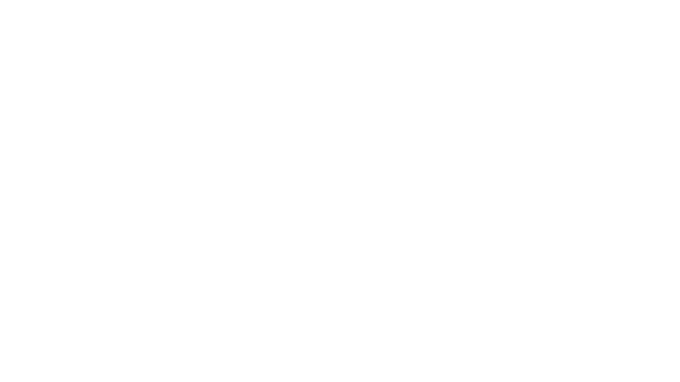 Perfect Murder