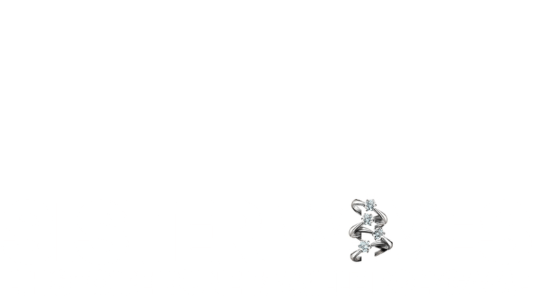 Sister Wives : l'histoire d'une famille polygame