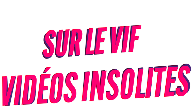 Sur le vif : vidéos insolites