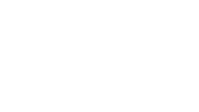 Wheeler Dealers : rêves à saisir