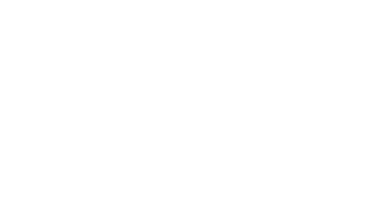 Wheeler dealers : occasions à saisir