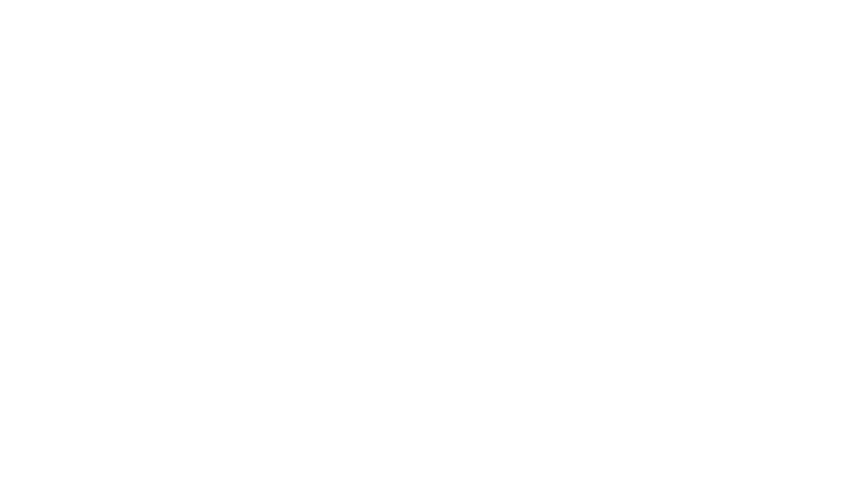 The Assassin