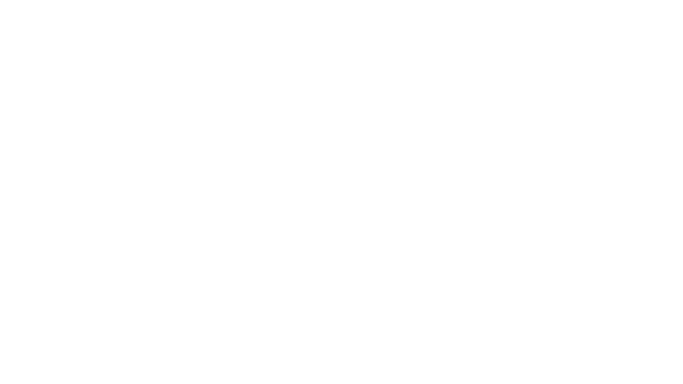 Summit Fever