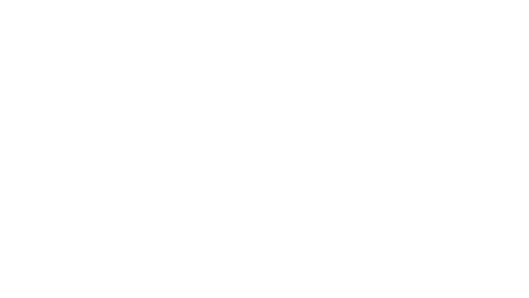 Pomme de pin et Poney