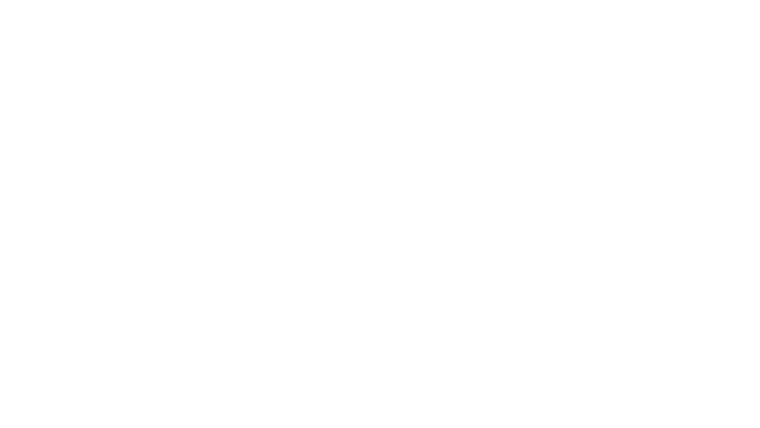Les Wonder Choux dans la grande ville