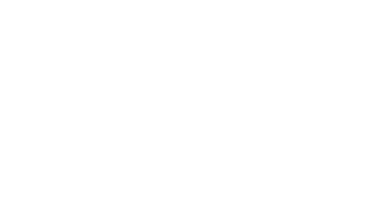 The Dark Wizard