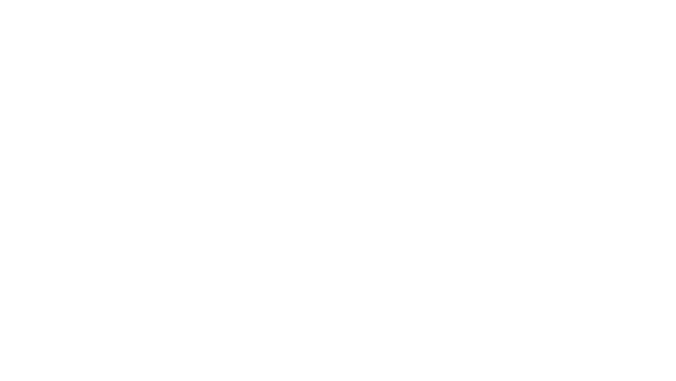 Beastie Boys Story