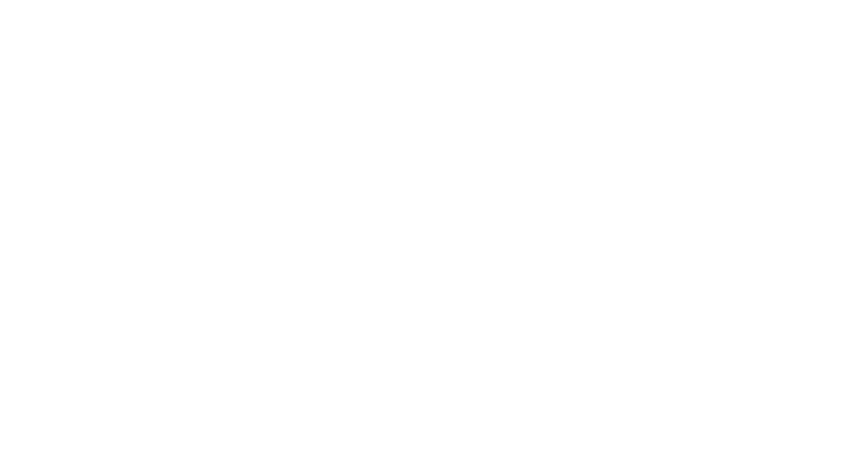 The Dynasty: New England Patriots