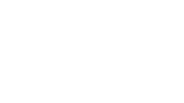The Astronaut