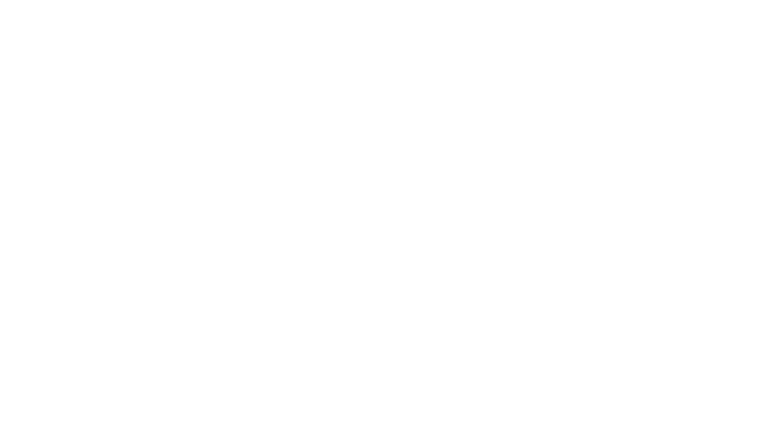 Les sœurs Grimm