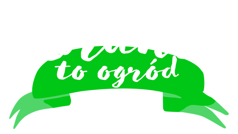 Grunt to ogród