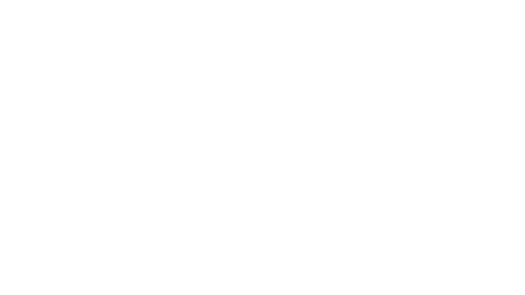 Agnieszka Radwańska. Anatomia zwycięstwa