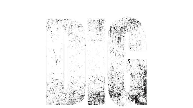Dig