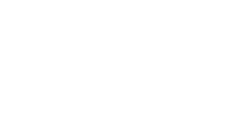 Jeden strzał