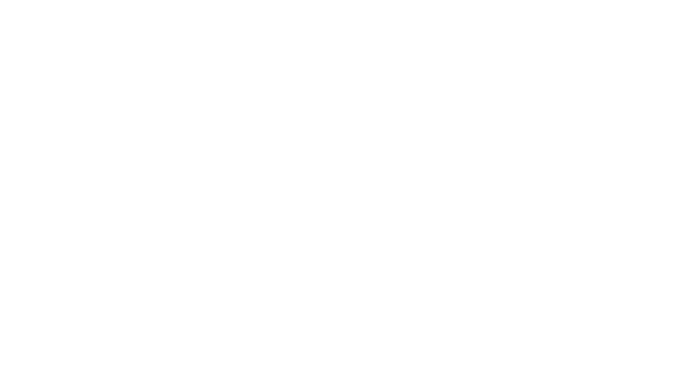 Czwarta władza