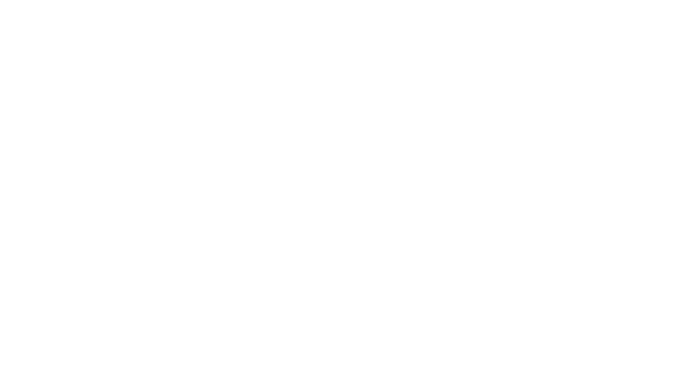 Transporter: Nowa moc