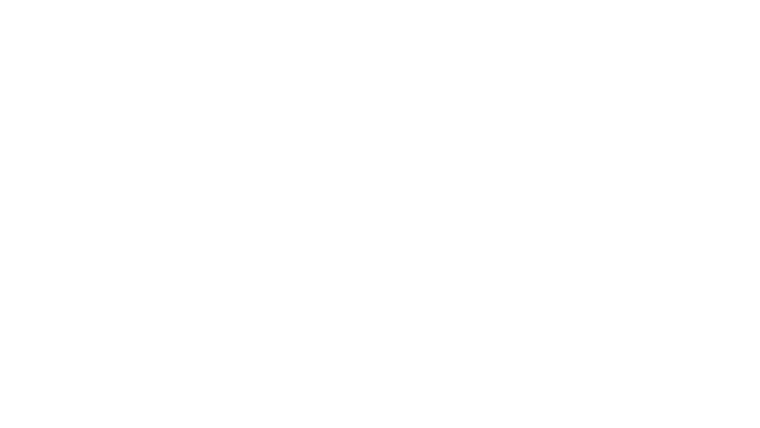David w Europie