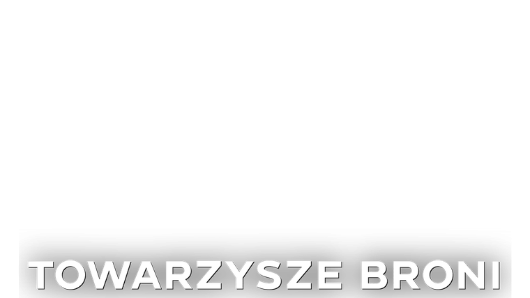 Towarzysze broni