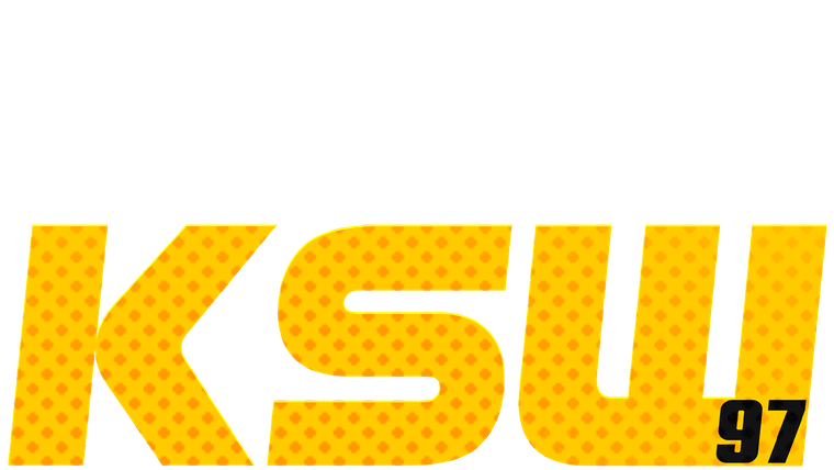 KSW 97: Bajor vs. Scheffel - Gala MMA