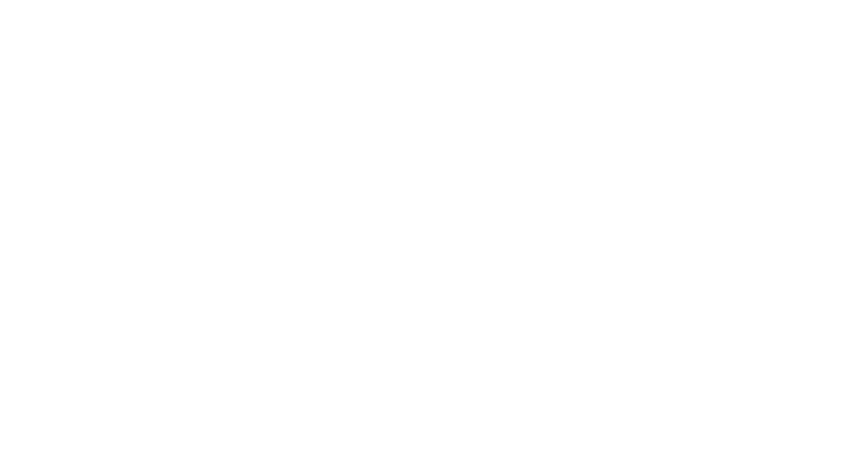 James Hamilton. Fotograf Nowego Jorku