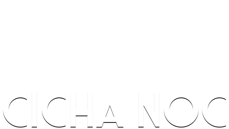 Cicha noc