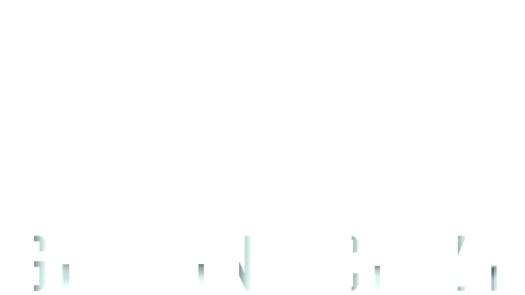 Godzina ciszy