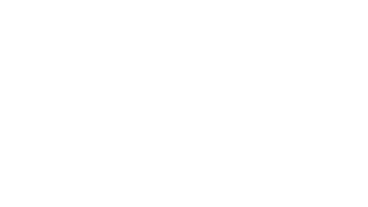 Milczący Świadek