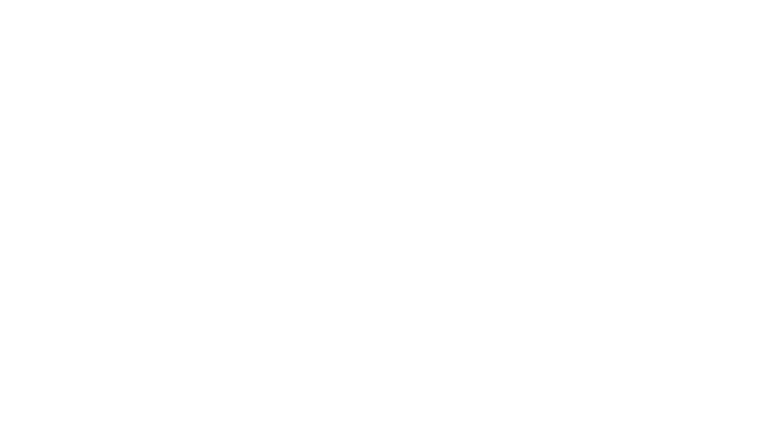 The Outrun
