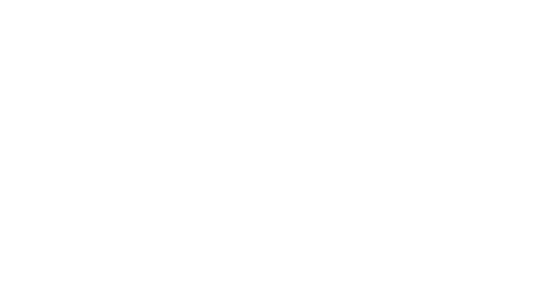 The Freak Brothers