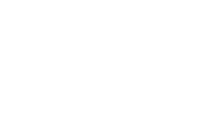 Ochroniarz Lincolna