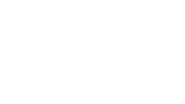 Flight of the Conchords