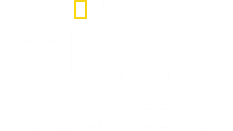 Tucci we Włoszech