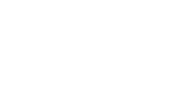 Until Dawn