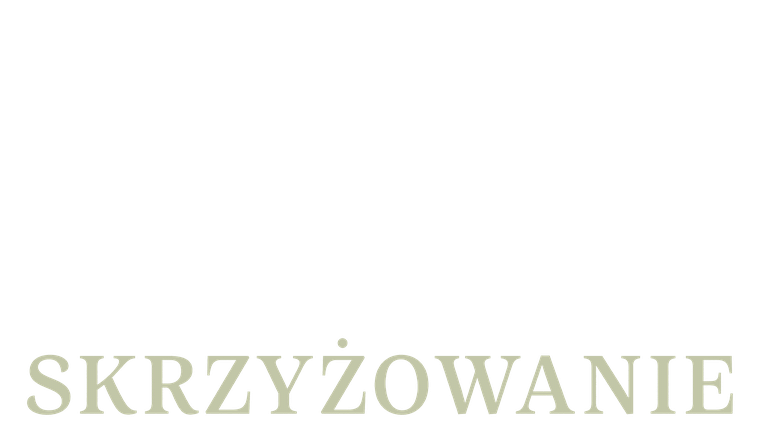 Skrzyżowanie