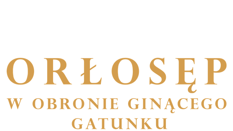 Orłosęp. W obronie ginącego gatunku