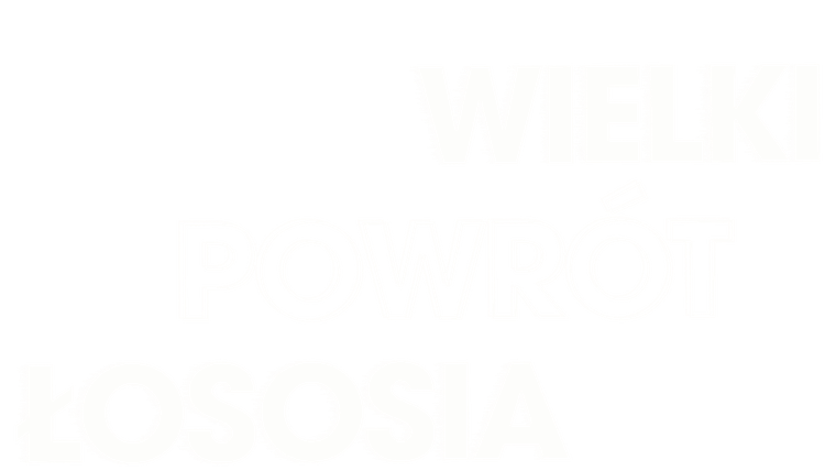 Wielki powrót łososia