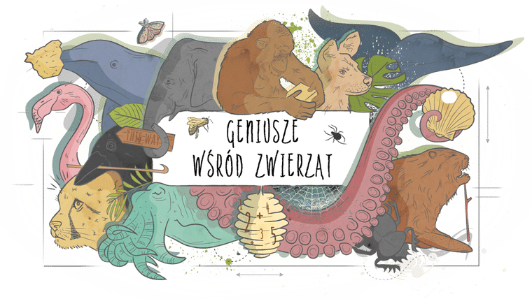 Geniusze wśród zwierząt