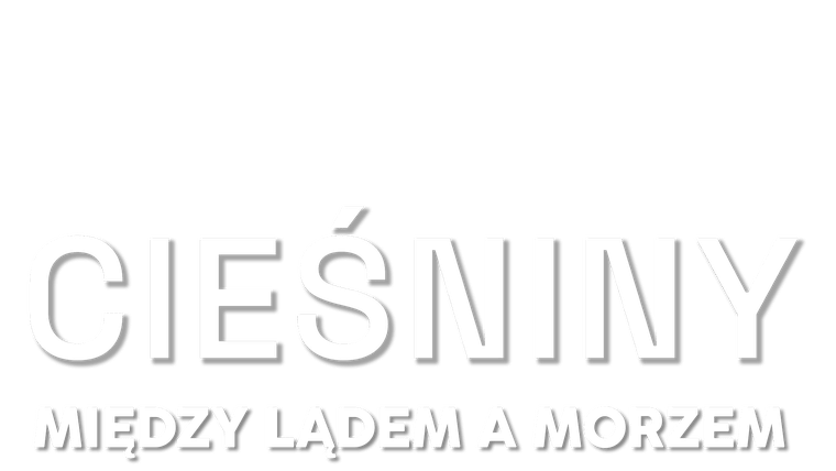 Cieśniny. Między lądem a morzem
