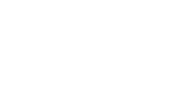 Trzej Detektywi i Karpacki Pies