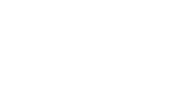 Zabójczy lot