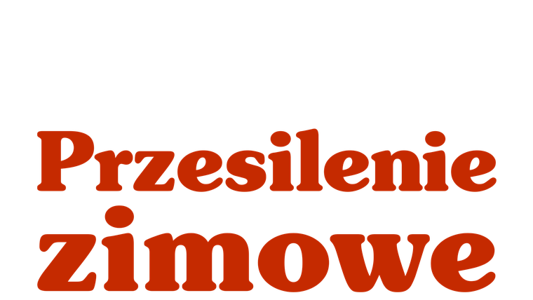 Przesilenie zimowe