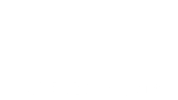 Przesłuchanie