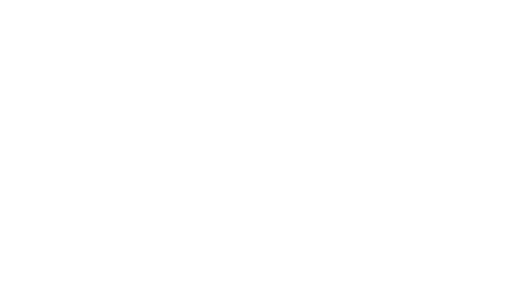 Wasp. Sieć szpiegów