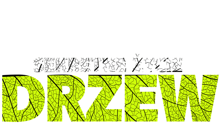 Sekretne życie drzew