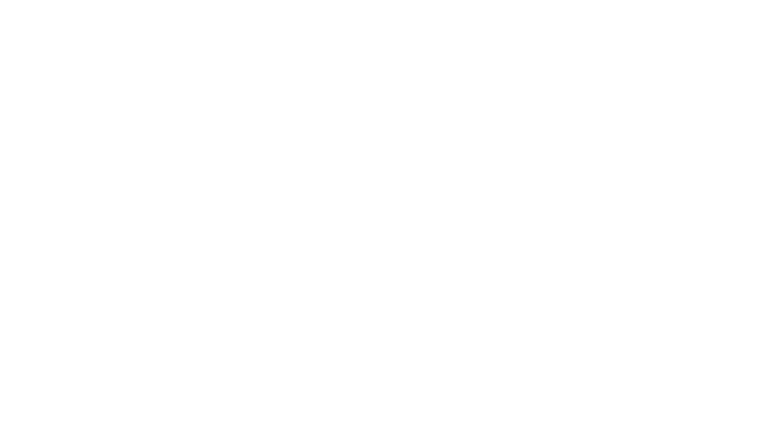 Leonardo odkrywca