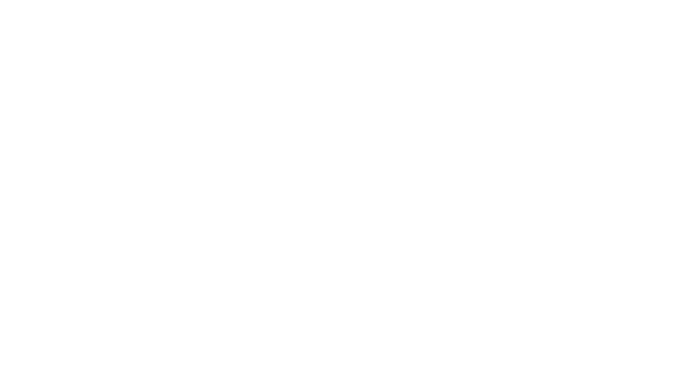 Pani Doubtfire